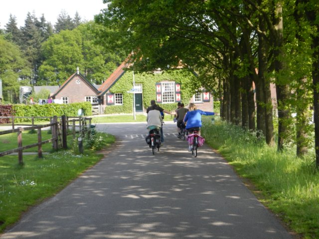 HWK 2012 Hummelo 145.jpg